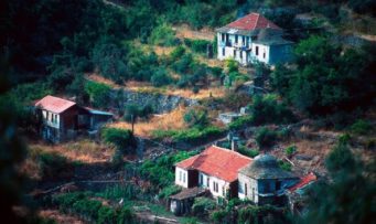 ΜΗΝΥΜΑ ΓΕΡΟΝΤΑ ΕΥΓΕΝΙΟΥ ΑΠΟ ΤΗΝ ΞΕΝΟΦΩΝΤΙΑΝΗ ΣΚΗΤΗ ΑΓΙΟΥ ΟΡΟΥΣ